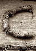Wall_Art_Alphabet_Photography_Art_ 354
